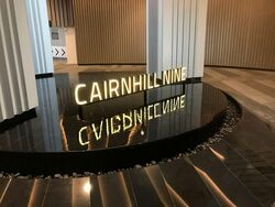 Cairnhill Nine (D9), Apartment #577459821